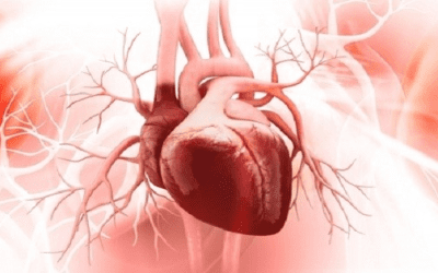 Suy tim – những điều cần biết