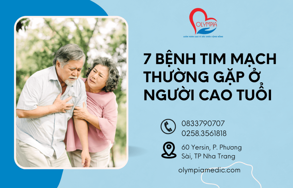 7 bệnh tim mạch thường gặp ở người cao tuổi - olympia nha trang