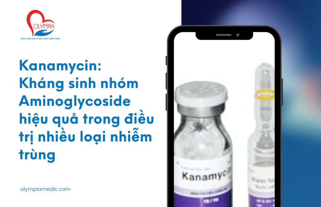 Kanamycin kháng sinh nhóm Aminoglycoside hiệu quả trong điều trị nhiều loại nhiễm trùng