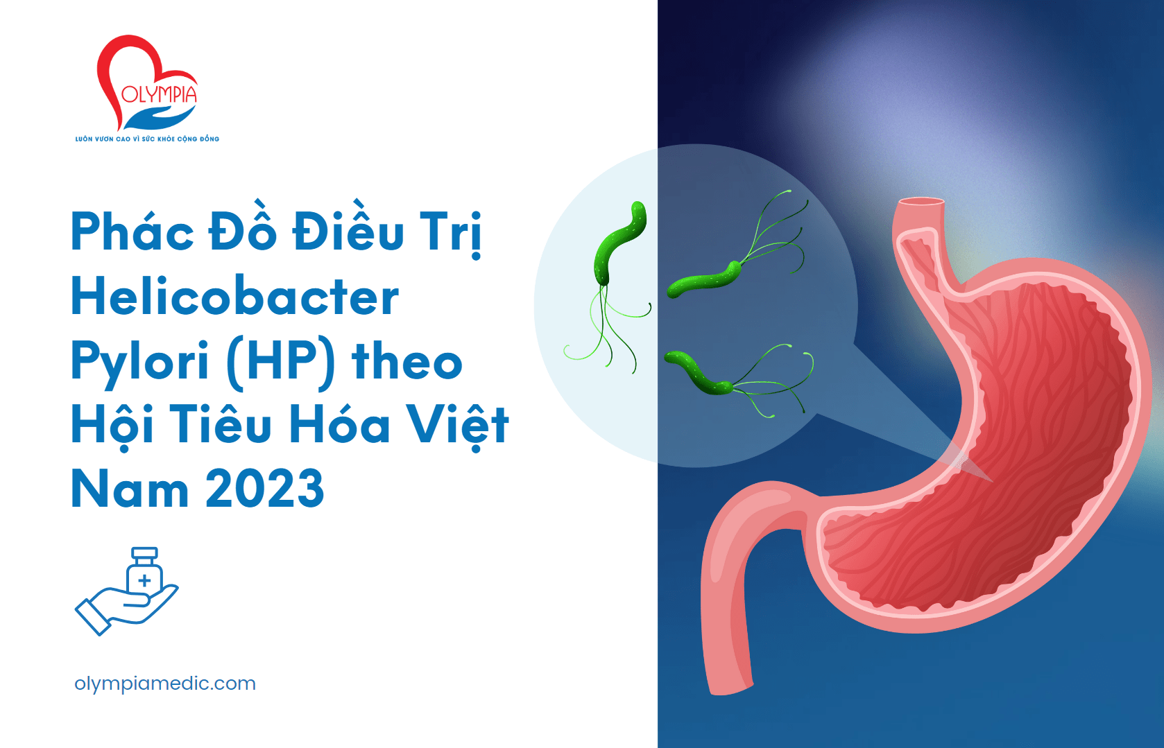 Phác Đồ Điều Trị Helicobacter Pylori (HP) theo Hội Tiêu Hóa Việt Nam 2023