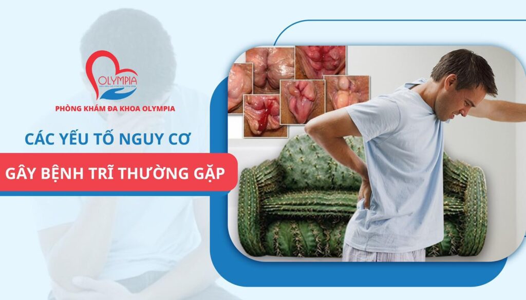 CÁC YẾU TỐ NGUY CƠ GÂY BỆNH TRĨ ĐI SÂU VÀO NHỮNG NGUYÊN NHÂN VÀ PHÒNG NGỪA HIỆU QUẢ