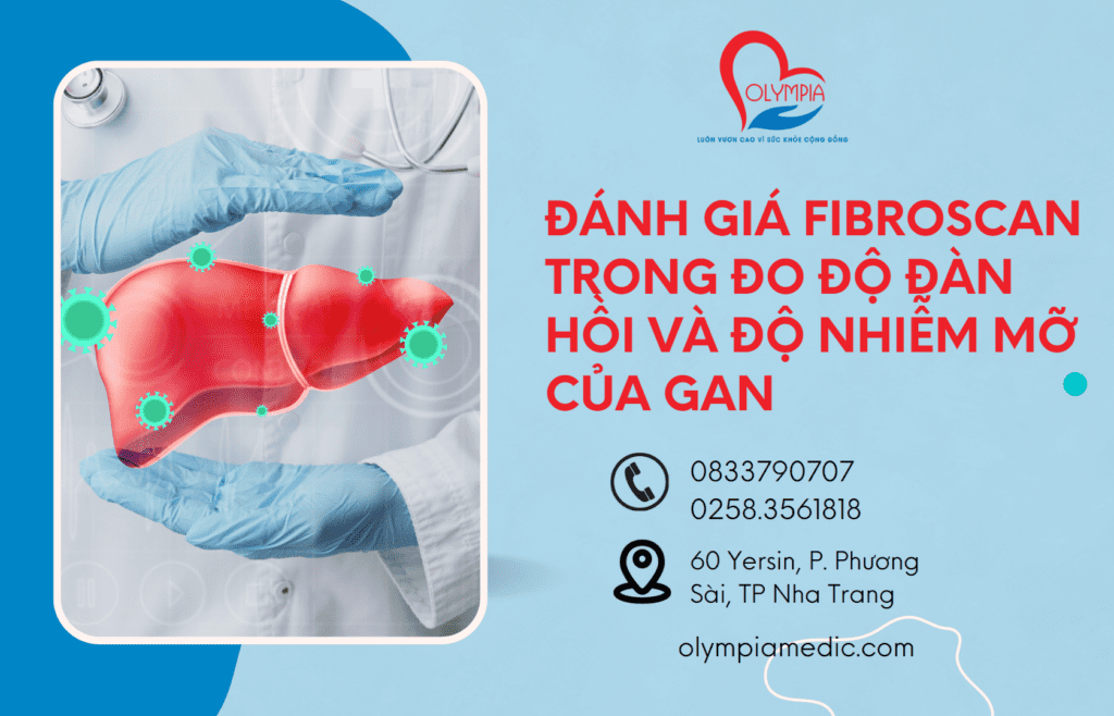 Đánh Giá FibroScan trong Đo Độ Đàn Hồi và Độ Nhiễm Mỡ của Gan - olympia nha trang