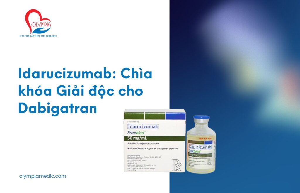 Idarucizumab Chìa khóa Giải độc cho Dabigatran - Phòng Khám Đa Khoa Olympia Nha Trang