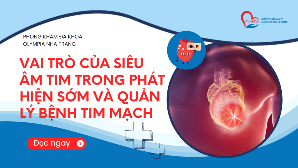 Vai Trò Của Siêu Âm Tim Trong Phát Hiện Sớm và Quản Lý Bệnh Tim Mạch - Olympia nha trang