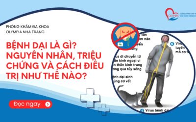 Bệnh dại là gì? Nguyên nhân, triệu chứng và cách điều trị như thế nào?