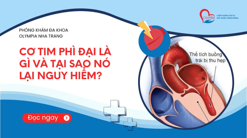 Cơ tim phì đại là gì và tại sao nó lại nguy hiểm - phòng khám đa khoa olympia nha trang