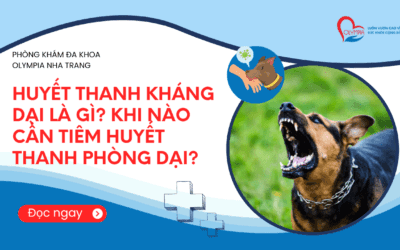 Huyết thanh kháng dại là gì? Khi nào cần tiêm huyết thanh phòng dại?