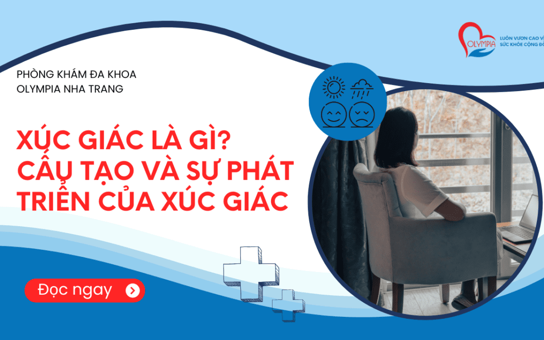 Xúc giác là gì? Cấu tạo và sự phát triển của xúc giác