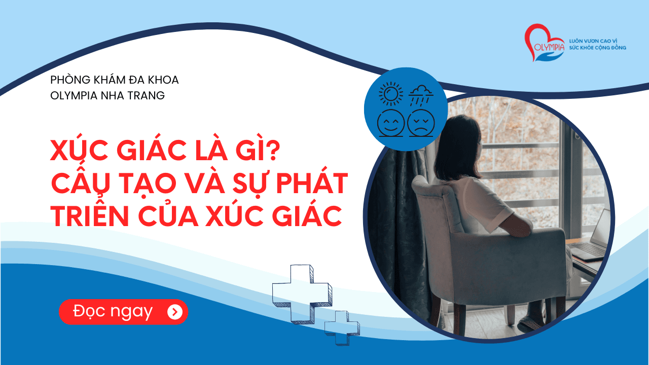 Xúc giác là gì Cấu tạo và sự phát triển của xúc giác – phòng khám đa khoa olympia Xúc giác là gì Cấu tạo và sự phát triển của xúc giác - phòng khám đa khoa olympia