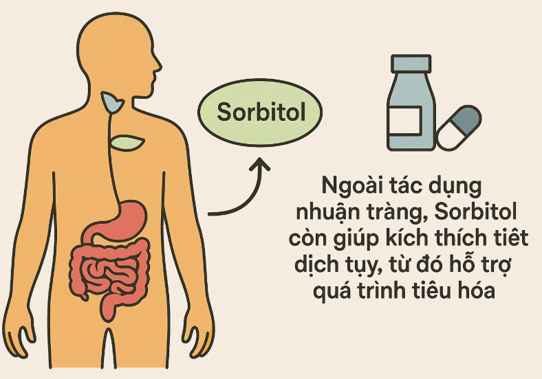 Ngoài tác dụng nhuận tràng, Sorbitol còn giúp kích thích tiết dịch tụy, từ đó hỗ trợ quá trình tiêu hóa. Những người hay bị đầy bụng, chậm tiêu có thể dùng thuốc dưới chỉ định để cải thiện triệu chứng