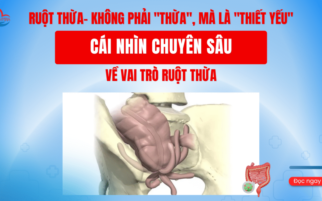 RUỘT THỪA- KHÔNG PHẢI “THỪA”, MÀ LÀ “THIẾT YẾU” – CÁI NHÌN CHUYÊN SÂU VỀ VAI TRÒ RUỘT THỪA