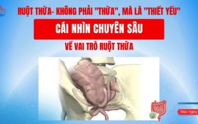 RUỘT THỪA- KHÔNG PHẢI “THỪA”, MÀ LÀ “THIẾT YẾU” – CÁI NHÌN CHUYÊN SÂU VỀ VAI TRÒ RUỘT THỪA