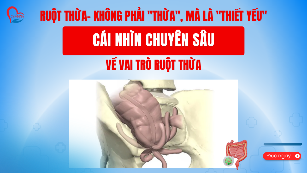 RUỘT THỪA- KHÔNG PHẢI THỪA, MÀ LÀ THIẾT YẾU – CÁI NHÌN CHUYÊN SÂU VỀ VAI TRÒ RUỘT THỪA -phòng khám đa khoa olympia