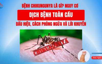 Bệnh Chikungunya là gì? Nguy cơ dịch bệnh toàn cầu – Dấu hiệu, cách phòng ngừa và lời khuyên từ chuyên gia