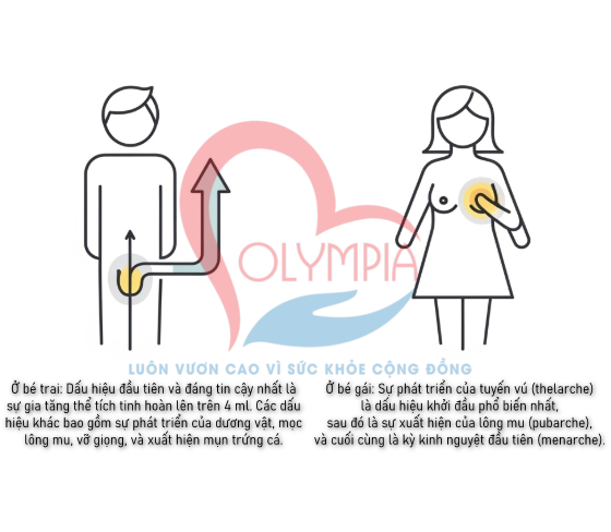 dậy thì sớm được định nghĩa là sự xuất hiện của các đặc điểm sinh dục thứ phát trước 8 tuổi ở bé gái và trước 9 tuổi ở bé trai.