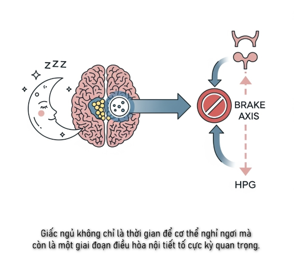 giấc ngủ ảnh hưởng tới dậy thì sớm - phòng khám đa khoa olympia