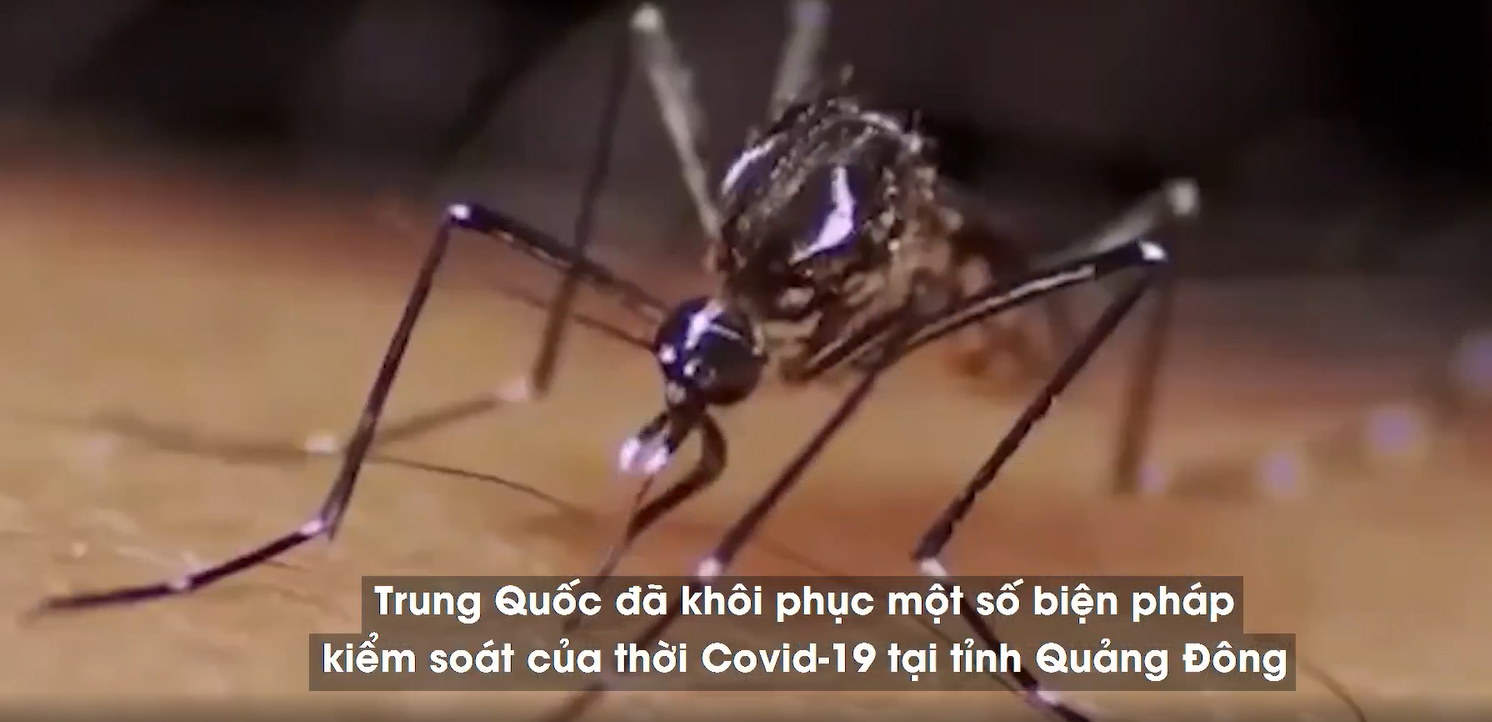 virus Chikungunya còn có thể lây lan qua một số con đường khác