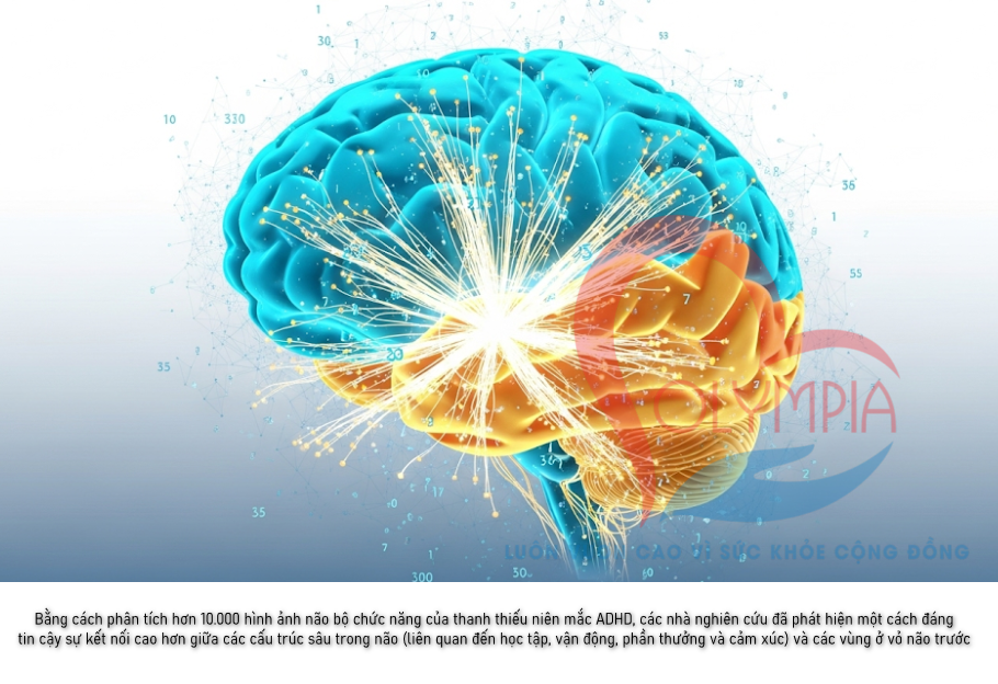 Bằng cách phân tích hơn 10.000 hình ảnh não bộ chức năng của thanh thiếu niên mắc ADHD, các nhà nghiên cứu đã phát hiện một cách đáng tin cậy sự kết nối cao hơn giữa các cấu trúc sâu trong não (liên quan đến học tập, vận động, phần thưởng và cảm xúc) và các vùng ở vỏ não trước