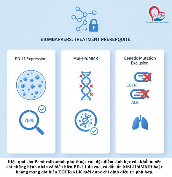 Hiệu quả của Pembrolizumab phụ thuộc vào đặc điểm sinh học của khối u, nên chỉ những bệnh nhân có biểu hiện PD-L1 đủ cao, có dấu ấn MSI-H/dMMR hoặc không mang đột biến EGFR/ALK mới được chỉ định điều trị phù hợp.