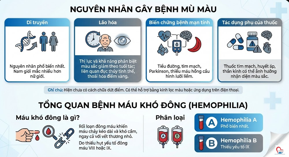 Bệnh Mù Màu, Máu Khó Đông Có Di Truyền Không?
