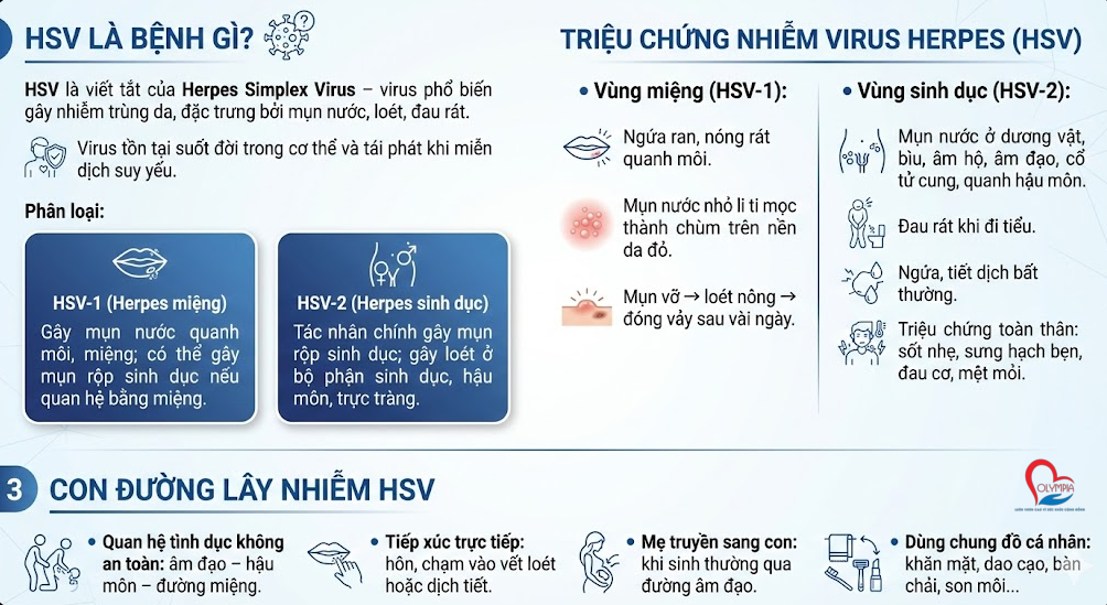 HSV Là Bệnh Gì? Nguyên Nhân, Triệu Chứng và Giải Đáp Thắc Mắc Thường Gặp