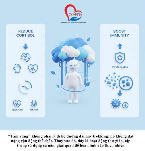 "Tắm rừng" không phải là đi bộ đường dài hay trekking; nó không đặt nặng vận động thể chất. Thay vào đó, đây là hoạt động thư giãn, tập trung sử dụng cả năm giác quan để hòa mình vào thiên nhiên