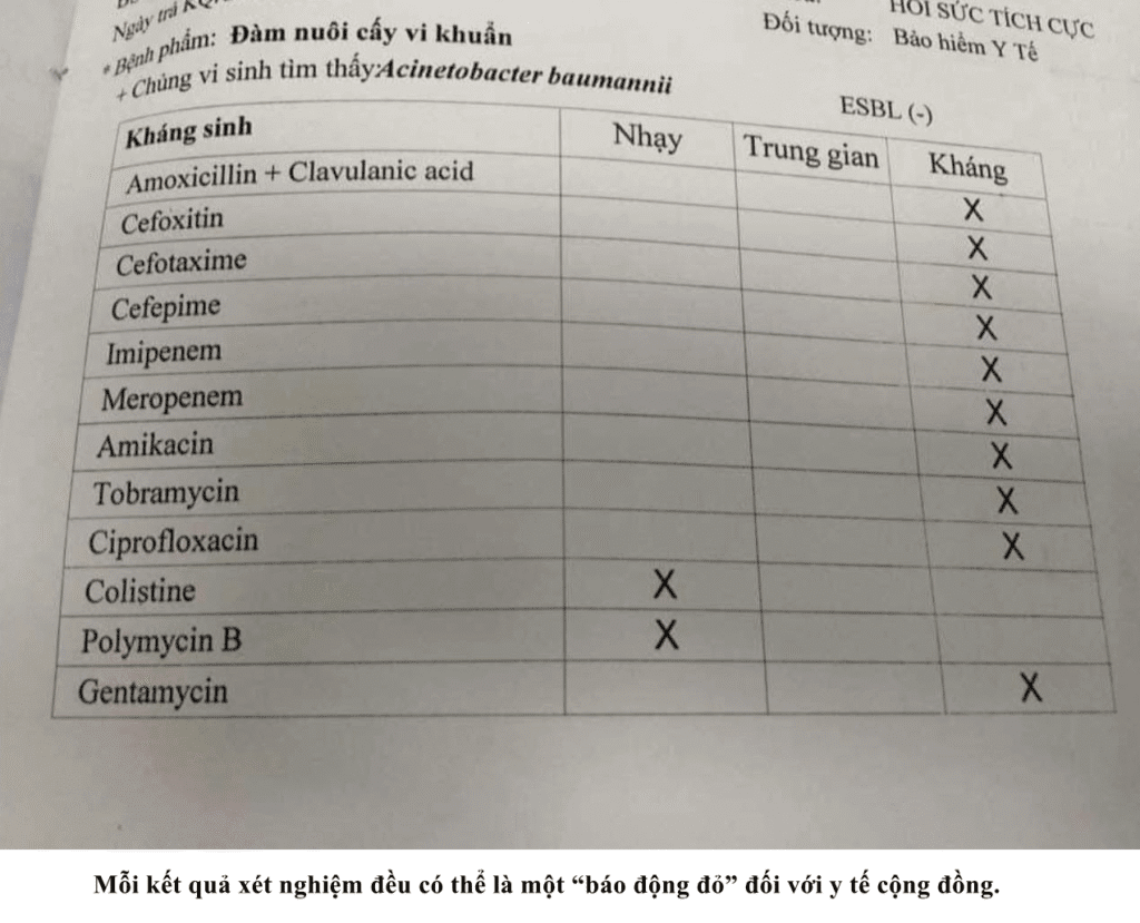Hãy tưởng tượng bạn cầm trên tay một kết quả xét nghiệm – một tấm kháng sinh đồ – và nhìn thấy những con số ấy kể một câu chuyện đáng lo ngại về sức khỏe cộng đồng