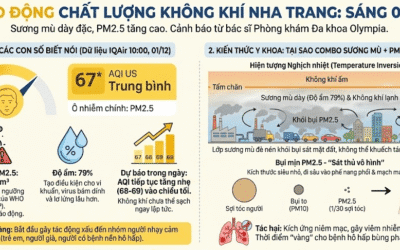 Cảnh báo sức khỏe tại Nha Trang – Sương mù dày đặc và chỉ số AQI “chạm ngưỡng vàng” – Đừng chủ quan với lá phổi!