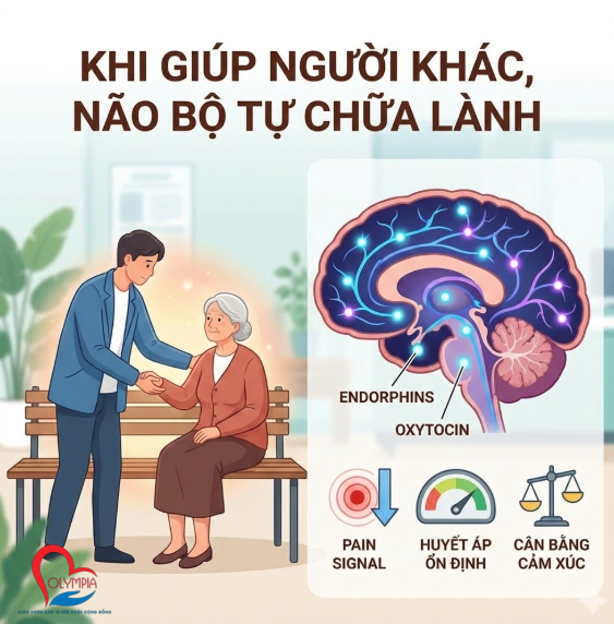 Khi thực hiện hành vi vị tha (altruism), não bộ giải phóng một lượng lớn Endorphin (giảm đau tự nhiên) và Oxytocin (hormone gắn kết)