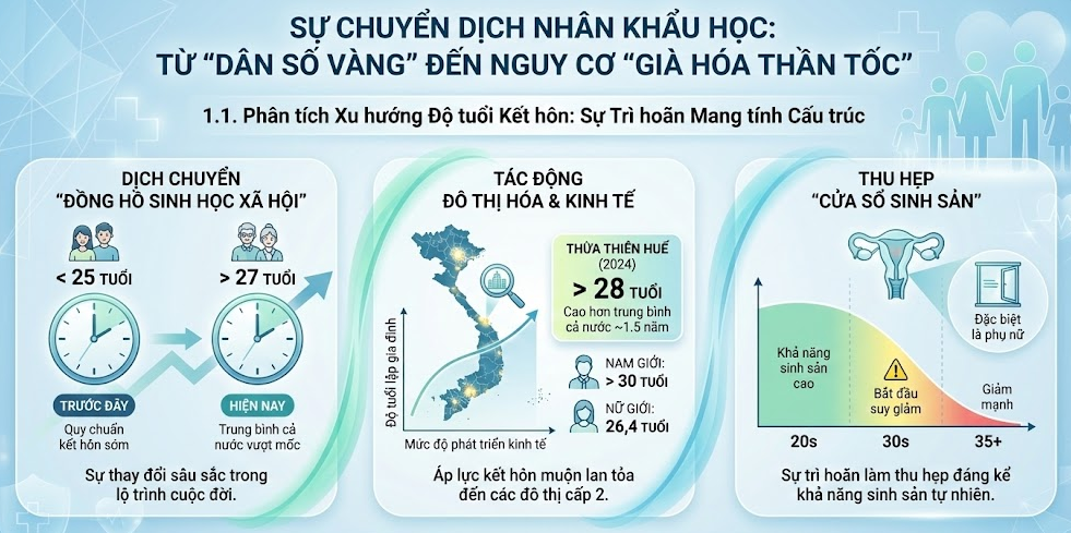 Sự Chuyển dịch Nhân khẩu học: Từ "Dân số Vàng" đến Nguy cơ "Già hóa Thần tốc"