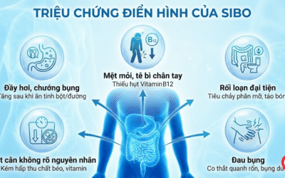 Bệnh SIBO là gì? Nguyên nhân, Triệu chứng và Cách điều trị mới nhất 2026