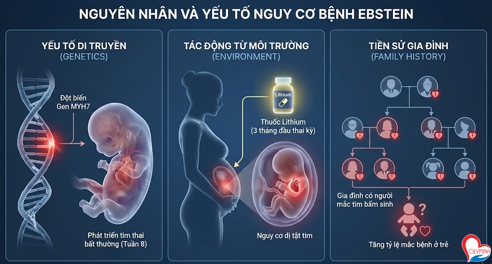 Nguyên nhân và các yếu tố nguy cơ