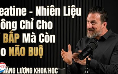 Creatine – Nhiên Liệu Không Chỉ Cho Cơ Bắp Mà Còn Cho Não Bộ