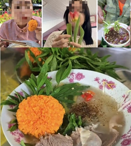 cảnh báo trend ăn hoa như rau ... olympia nha trang