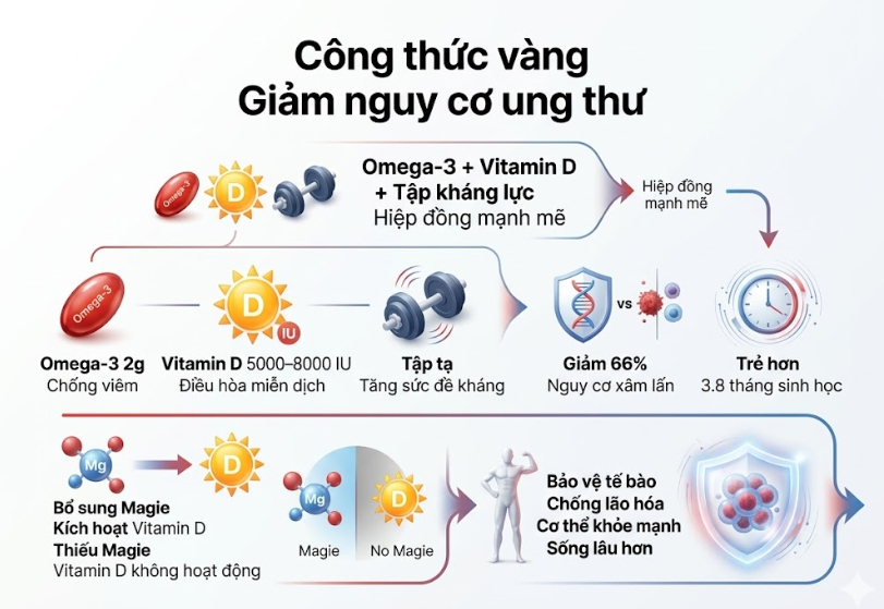 công thức vàng - giảm nguy cơ ung thư - olympia