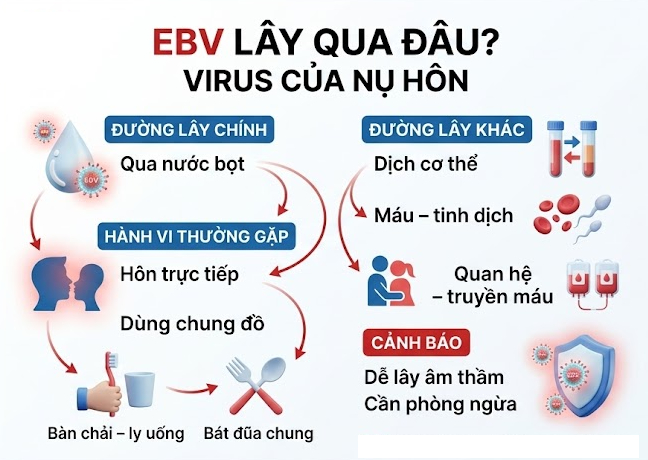 ebv lây qua đâu - virus của nụ hôn