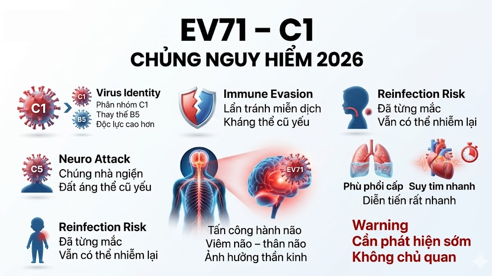 ev71-c1 chủng nguy hiểm - tay chân miệng - olympia
