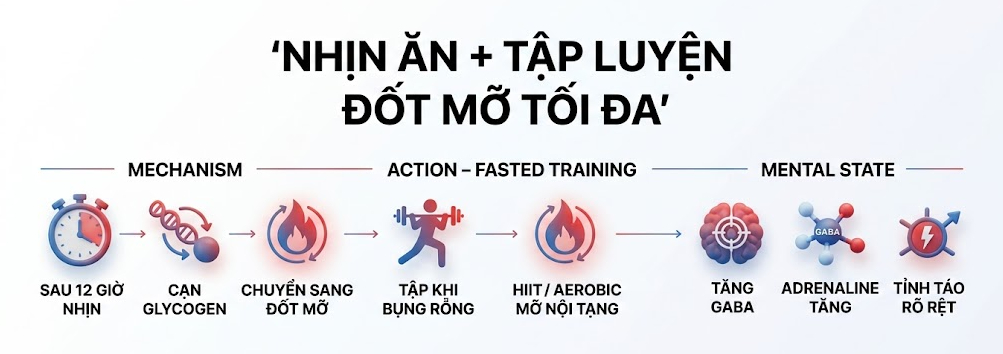 nhịn ăn và tập luyện để đốt mỡ tối đa - olympia