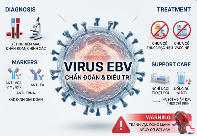 virus ebv- chẩn đoán và điều trị