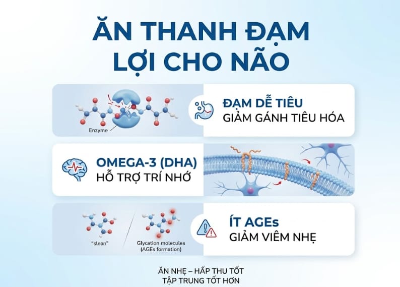 ăn thanh đạm lợi cho não