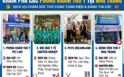 Danh sách các phòng khám thú y tại Nha Trang và lân cận (Cập nhật 2026)