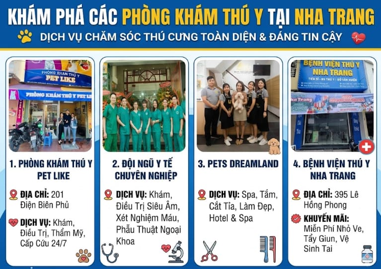 các phòng khám thú y tại nha trang