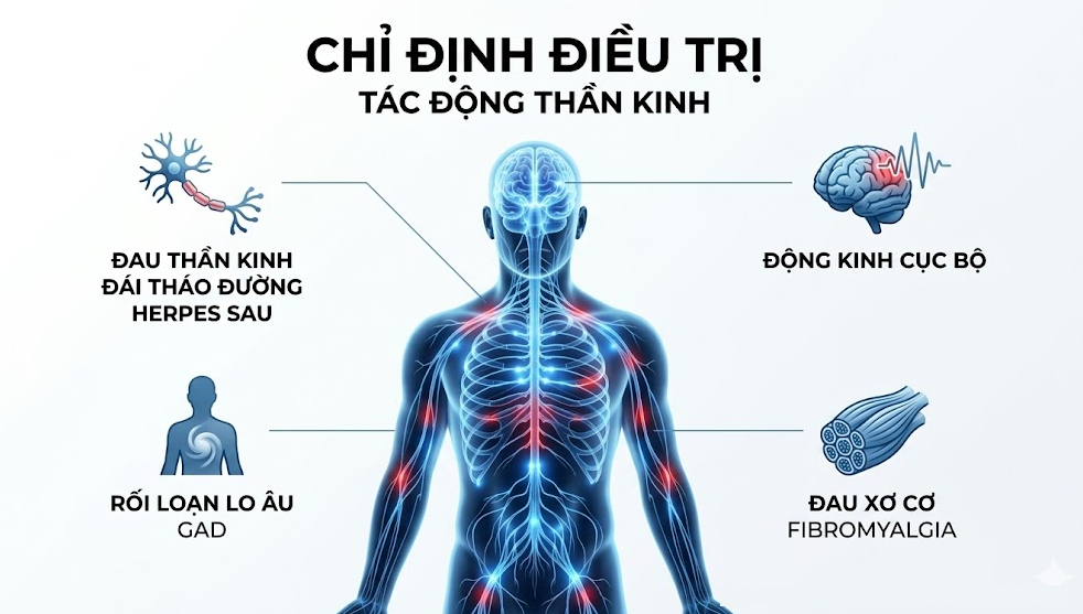 chỉ định điều trị - tác động thần kinh