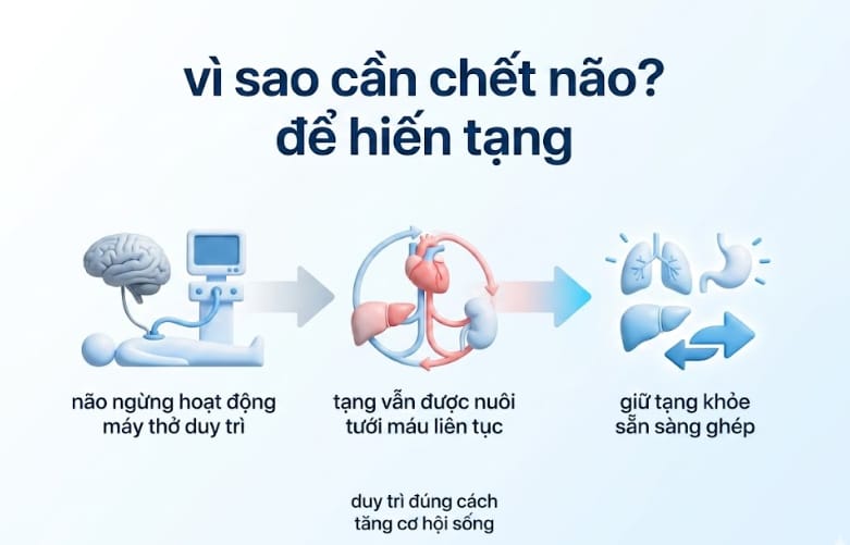 vì sao cần chết não để hiến tạng