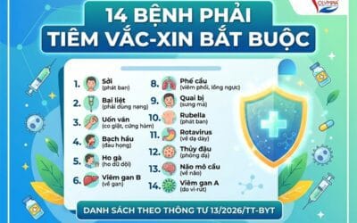 Danh Mục 14 Bệnh Bắt Buộc Tiêm Chủng Mới Nhất theo Thông Tư 13/2026/TT-BYT