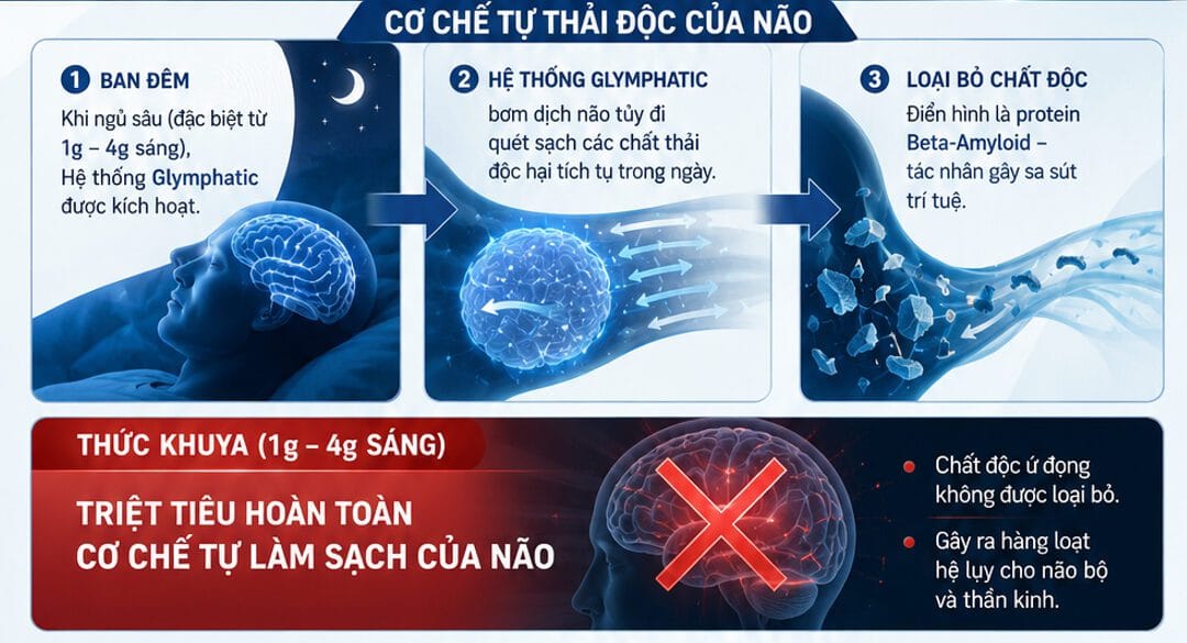 Suy Nhược Thần Kinh Giữa Mùa Bóng – Cách Trả “Nợ Ngủ” Khoa Học Để Cháy Hết Mình Cùng Vòng Loại Trực Tiếp
