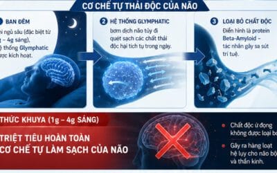 Suy Nhược Thần Kinh Giữa Mùa Bóng – Cách Trả “Nợ Ngủ” Khoa Học Để Cháy Hết Mình Cùng Vòng Loại Trực Tiếp