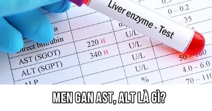 Men gan AST, ALT là gì