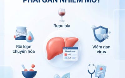 Men gan tăng có phải là gan nhiễm mỡ? Khi nào cần kiểm tra chuyên sâu?