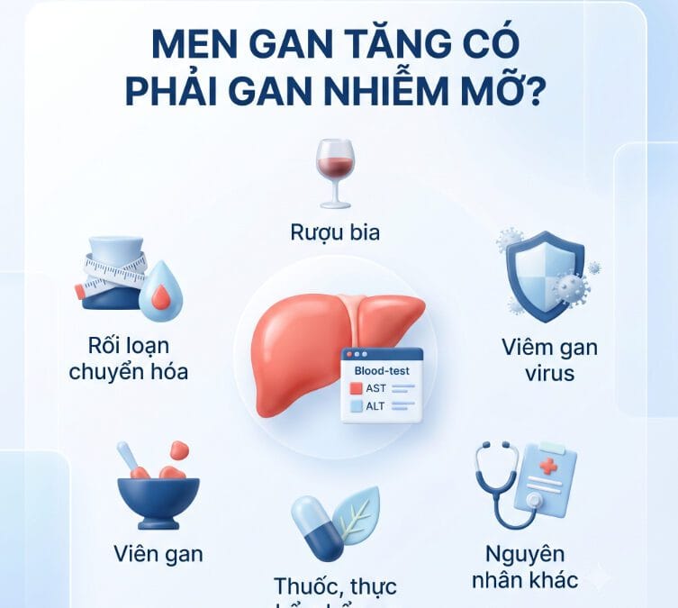 Men gan tăng có phải là gan nhiễm mỡ? Khi nào cần kiểm tra chuyên sâu?